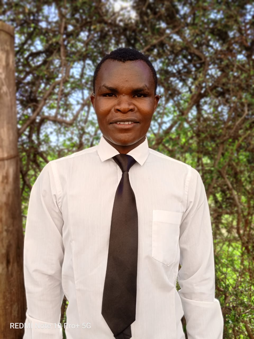 Team Member